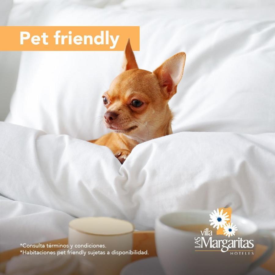 Villa Las Margaritas Plaza Cristal Xalapa Ngoại thất bức ảnh
